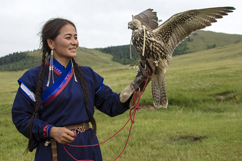 falcon training mongolia 